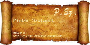 Pintér Szulamit névjegykártya